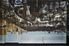 2020-Camera-Obscura-View-of-Central-Park-Looking-North-Winter