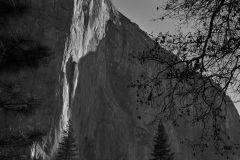 201805064809-Yosemite-El-Capitan-Morning-Light-BW