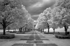 Nelson-Atkins-Museum-Grounds