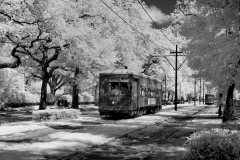 New-Orleans-Street-Car-on-St.-Charles