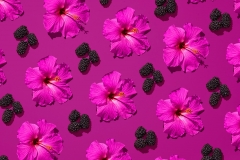 Flow_06-19-18_Print_BlackberryHibiscus