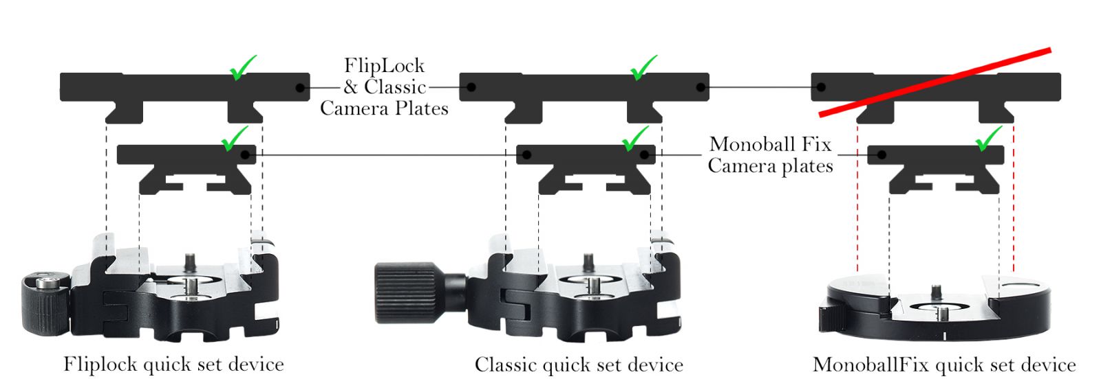 Arca Swiss Heads The Essential Primer DT Photo