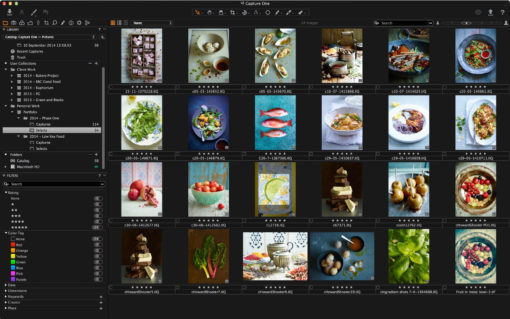 Capture One Pro 23 for Education - Image 2