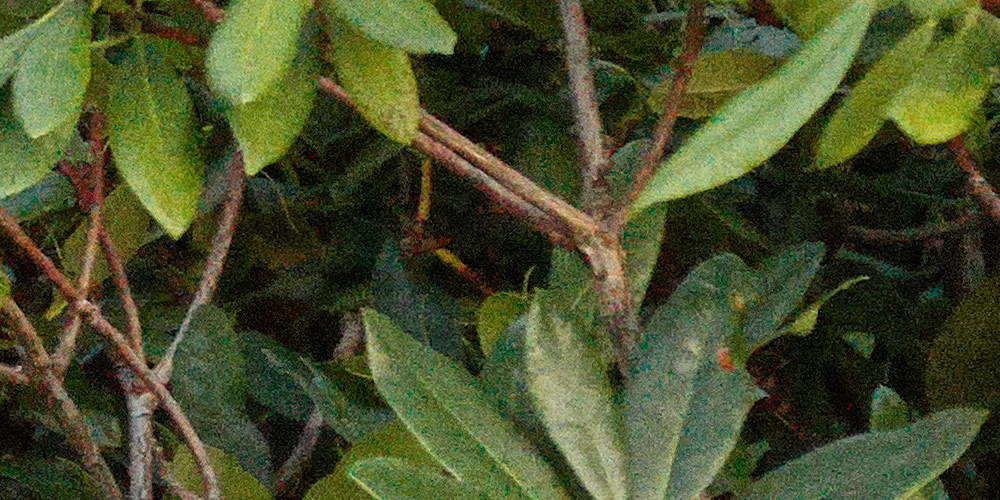 Before image