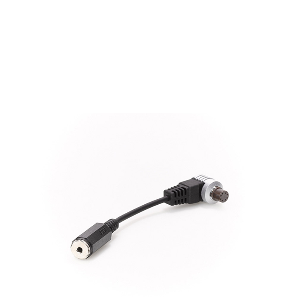 kampioen Afdaling voorzetsel 8-Pin Multi Connector to Mini Jack Adaptor Cable - DT Photo
